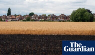From grey water to cool spaces, 10 climate crisis policies Britain needs right now | Environment policy