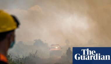 Indonesia wildfires threaten orangutans rescued from animal traffickers | Indonesia