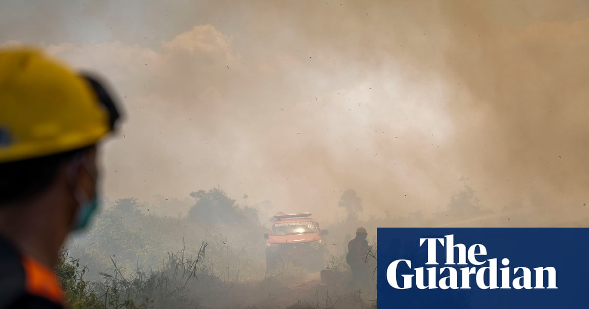 Indonesia wildfires threaten orangutans rescued from animal traffickers | Indonesia