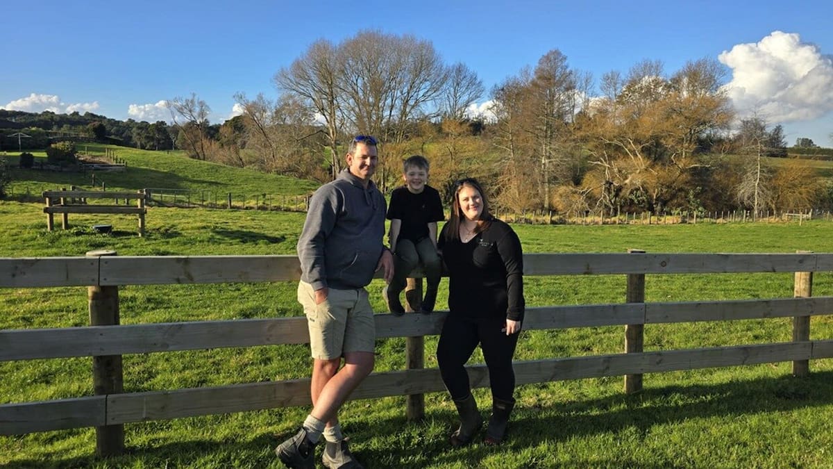 South Auckland farming couple rebuild Hereford stud after 50 cattle stolen
