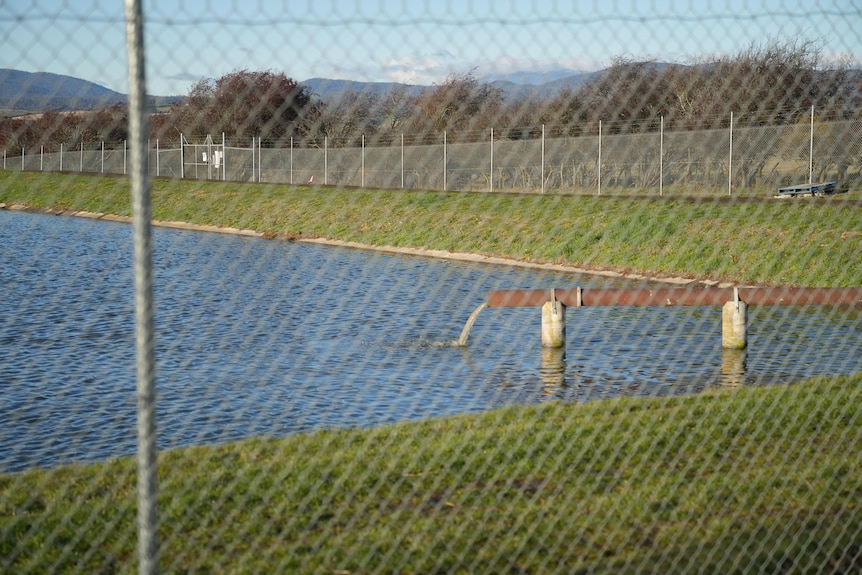 Sewage flows from a pipe into a pond