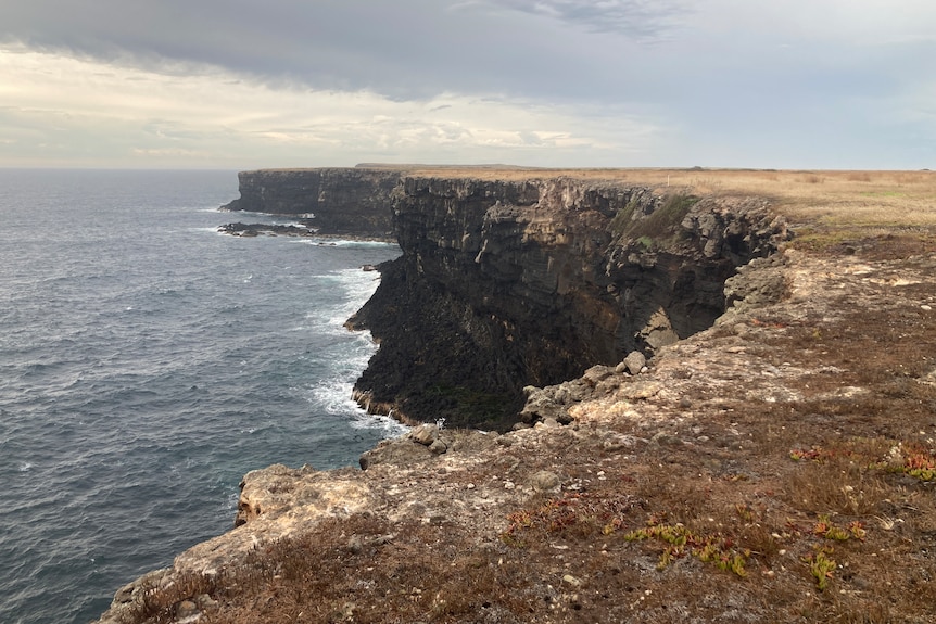 Cliffs drop off into the ocean.