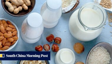 Milk vs plant-based alternatives: 7 claims put to the test