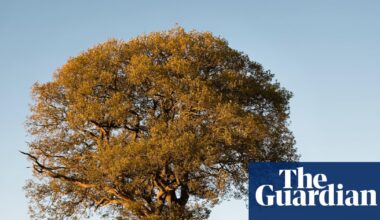 Despite the drought, don’t give up on our native plants | Plants