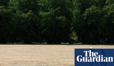 Half of England officially in ‘exceptionally serious’ drought | Drought