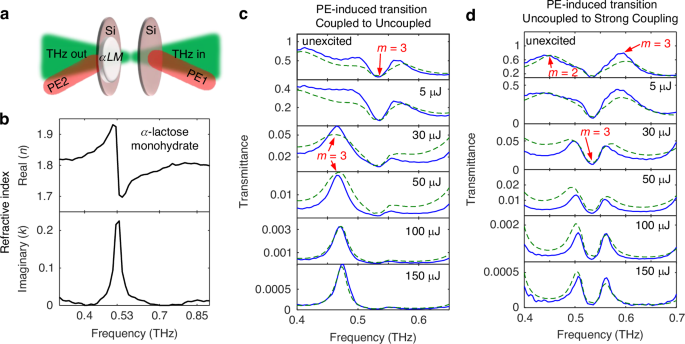 Fig. 4: Triggering strong coupling of α-lactose in cavity.