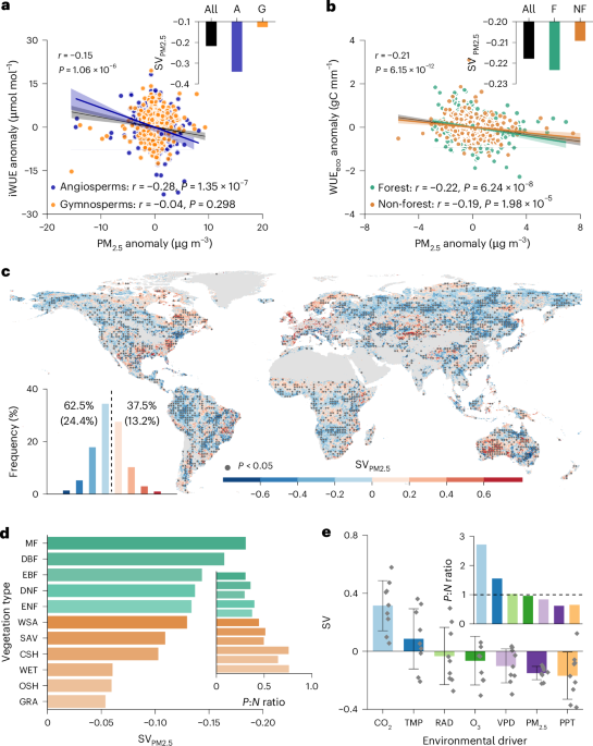 Particulate air pollution undermines plant water-use efficiency by inhibiting photosynthesis