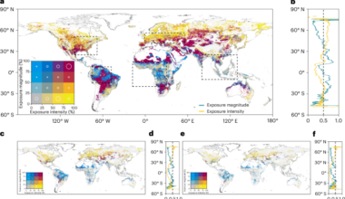 Climate warming drives thermal shocks and accelerated freshwater habitat fragmentation