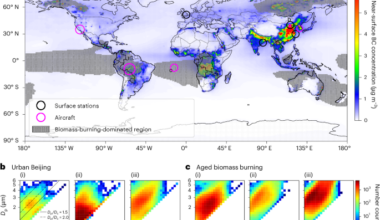Warming potential of atmospheric black carbon modulated by particulate matter