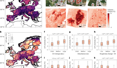 Disturbance characteristics and forest properties regulate surface warming and recovery across Europe
