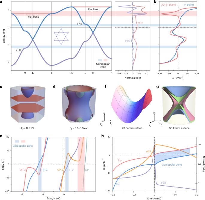 Fermiology-driven goniopolar transverse thermoelectricity in kagome metals