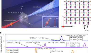 Electric-field control of coherent ferron oscillations