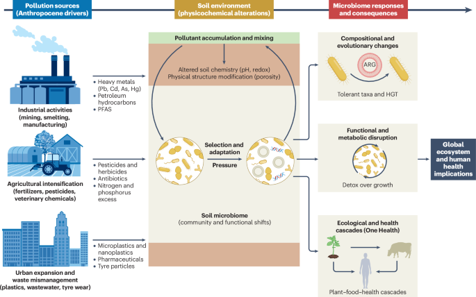 Impacts of pollution on the soil microbiome
