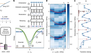 Observation of conformal field theory spectra in a quantum simulator