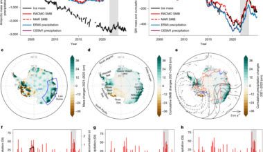 Multiyear tropical warm pool warming drives slowdown in Antarctic mass loss