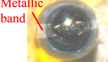 Tunable magnon polaritons via Eddy-current-induced dissipation in metallic-banded YIG spheres
