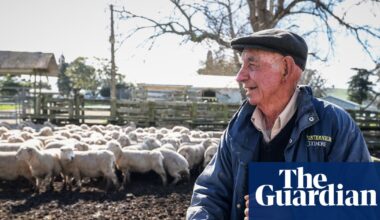 After decades of decline, New Zealand’s wool industry is making a comeback | New Zealand