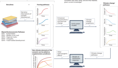 The policy relevance of climate-change scenarios for biodiversity research