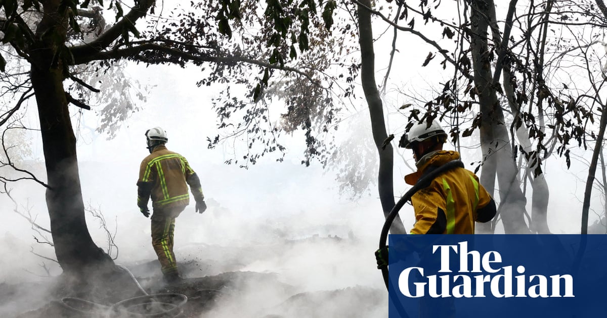 Without action wildfires in Europe will increase 39% even in best-case climate scenario, study finds | Wildfires