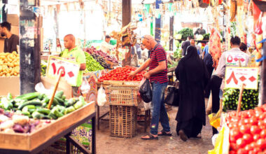 Egypt growth outlook cut to 5% as inflation delays rate cuts: BMI 