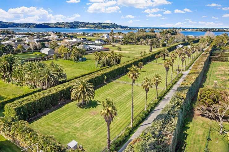 Mike Pero’s lifestyle block at 256B Point Wells Road, at Point Wells, comes with plans for a luxury home, pictured above. Photo / Supplied