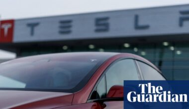 Tesla recalls nearly 3m vehicles in China over door handle safety risks | Tesla