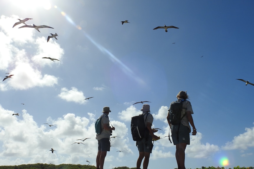 Birds fly above three men in hiking gear on an island.