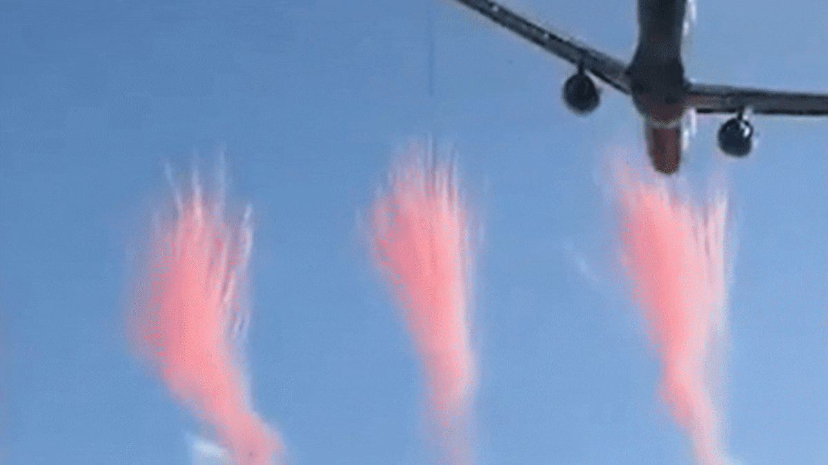 All Blacks v Springboks: World media reacts to ‘dangerous’ flyover before Cape Town test