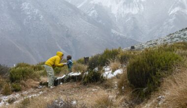 Coldest day of the year forecast as snow reaches towns in the south