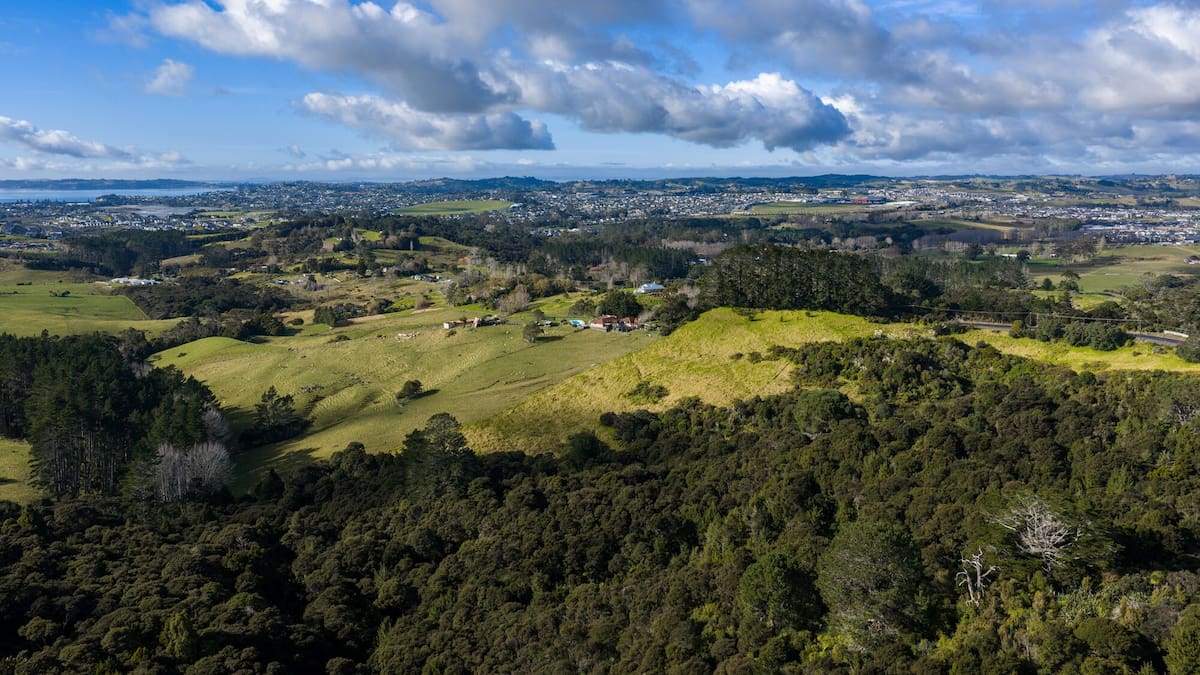 Proposal to truck Delmore wastewater from Ōrewa to Whangārei raises concerns