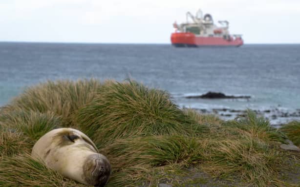 The Nuyina will visit Macquarie Island in October to extract the expeditioners.