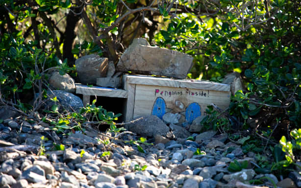 One of Tawatawa–Ridgway School's houses for Kororā installed in Ōwhiro Bay