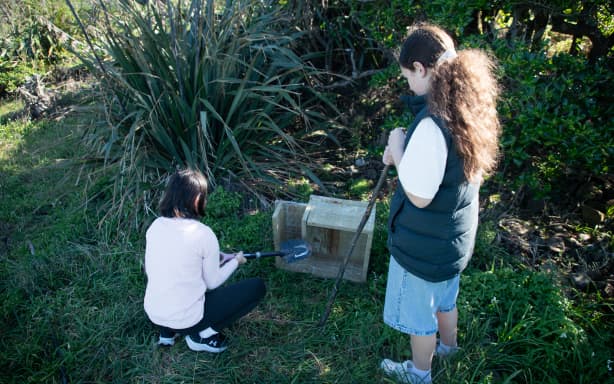Tawatawa–Ridgway School students, Nikkita and Natalie, installing their Kororā houses in Ōwhiro Bay