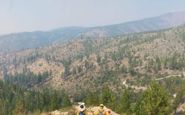 DOC and FENZ firefighters working on the Little Giant fireground, Washington State. The people in green are firefighters from the Department of Conservation and those in yellow are Fire and Emergency.