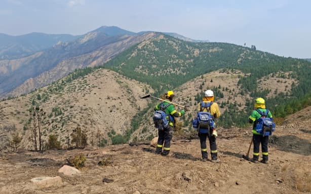 DOC and FENZ firefighters working on the Little Giant fireground, Washington State. The people in green are firefighters from the Department of Conservation and those in yellow are Fire and Emergency.
