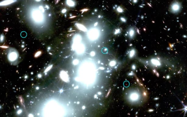 Little red dots, circled here in blue, showed in the James Webb Space Telescope's imagery.