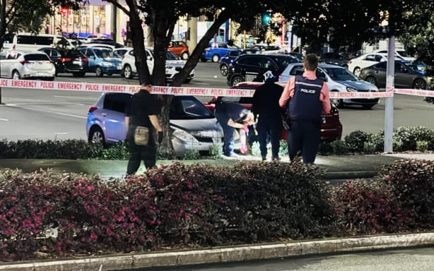 Police search outside Sylvia Park mall but torchlight after a man was killed by police on 13 August, 2026.