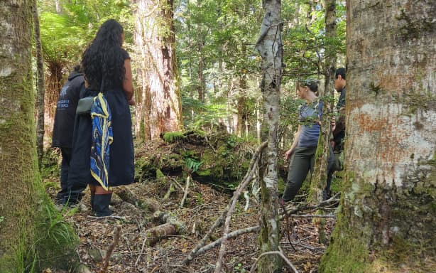 Ngāti Rangi members assist in the release of kiwi to Karioi Rāhui, near Ohakune, in March