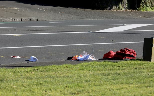 Police incident Manukau Rd Epsom