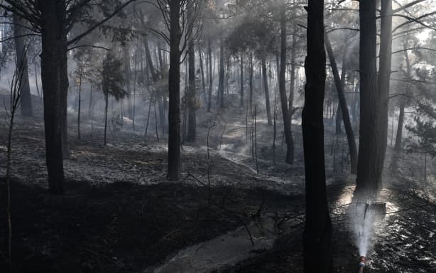 This photograph shows smoke raising from a forest fire in Liti, a village north of Thessaloniki on June 30, 2026. A man was found dead in a fierce forest fire that broke out on June 30, 2026 15 km (9 miles) from Thessaloniki in northern Greece, while a woman was injured, the fire service reported. (Photo by Sakis Mitrolidis / AFP)