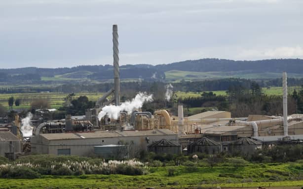 Juken NZ’s Triboard Mill in Kaitāia.