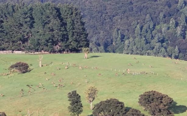 A huge forestry fire near the Central Hawke's Bay village of Pōrangahau last week took days to extinguish.