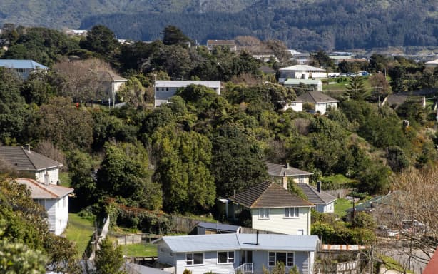 Cannons Creek houses
