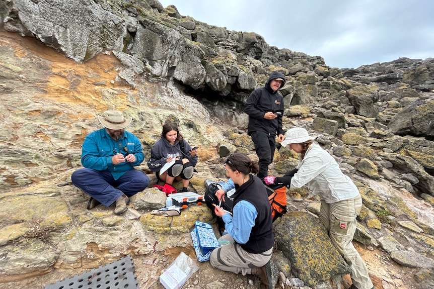 A group of five people sit on a rocky area with bags and paper.
