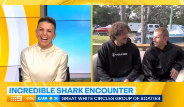 ‘Code brown’: Aussies’ hilarious interview after shark sighting