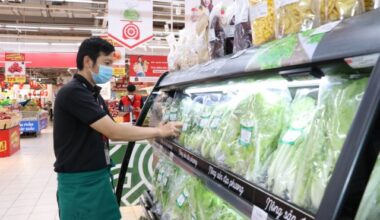 Productivity, quality key to strengthening Việt Nam's domestic market: STAMEQ