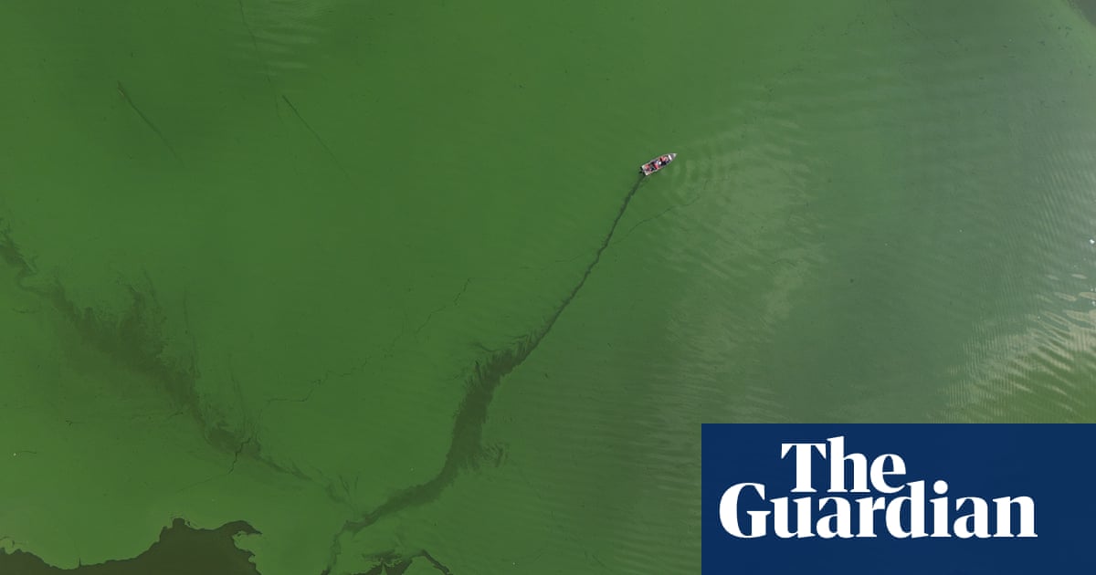 From toxic blooms to dead zones, how wildfires transform oceans and lakes | Biology