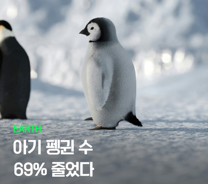 Provided by the Korea Polar Research Institute