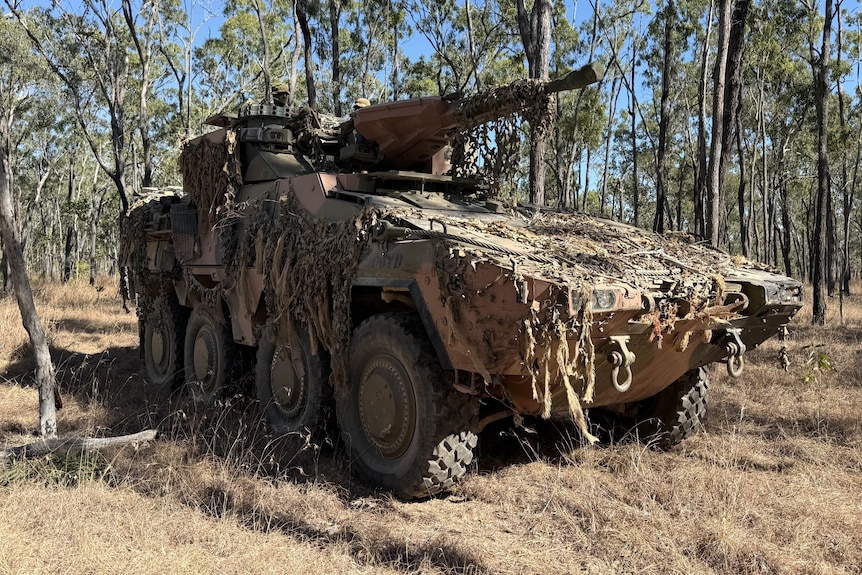 A large army vehicle in scrubby bushland