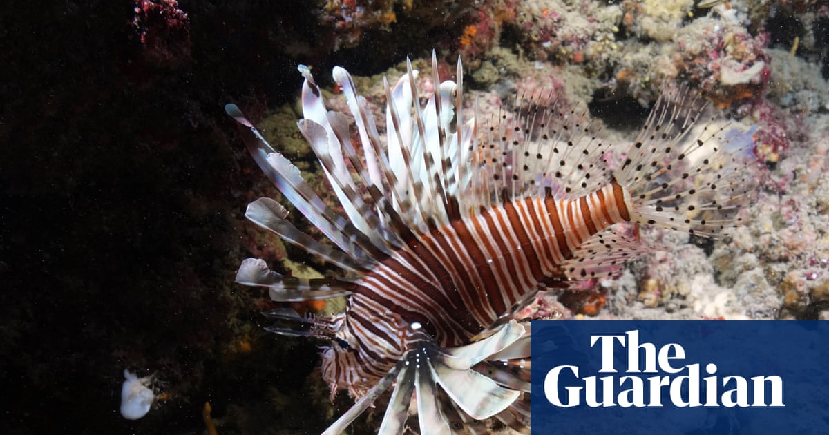 Carbon pollution has fuelled ‘massive expansion’ of marine heatwaves in Europe, study finds | Oceans